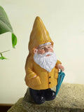Rainy Day Gnome