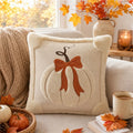 3D Plush Pumpkin Bow Pillow Cover